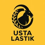 usta lastik logo edirne