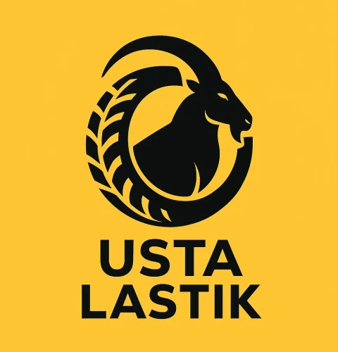 usta lastik logo edirne